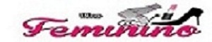 Banner do Blog Femininos