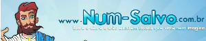 Banner do NumSalvo