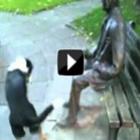 Cachorro Brincando com Estátua
