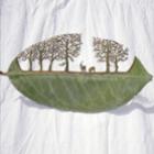 Espanhol transforma folhas secas em objetos de arte