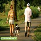 Aprenda a perder calorias em dobro levando seu cachorro para passear!