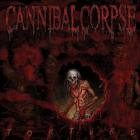 Cannibal Corpse: novas imagens da gravação do novo álbum