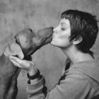 Levar um “beijo” de seu cão não faz mal