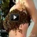Bikini de abelhas