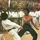 Karate vs kung fu