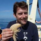 Crustáceo gigante é encontrado na Nova Zelândia