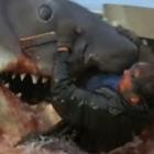  Os melhores ataques de tubarão do cinema 