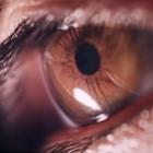 Vídeo em macro mostra a bela movimentação do olho humano