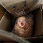 Confira uma fabrica de bonecas infláveis na China.