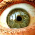 Cientistas descobrem depósito de células tronco no olho humano