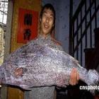 Chinês pesca peixe raro que vale R$ 950 mil