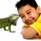 Iguana: saiba mais sobre este réptil