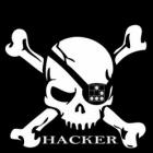 Hackers invadem site da Barcas S/A e mandam recado para Sergio Cabral