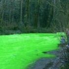 O rio que ficou verde neon