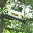 Moradores ficam confusos após carro aparecer em copa de árvore !!