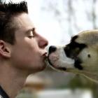 Beijar seu pet pode ser um risco à saúde, diz estudo