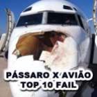 Pássaro X Avião – Top 10 – FAIL