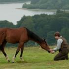 A sentimental amizade de um homem e um cavalo no novo drama de Spielberg