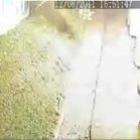 Garoto de 15 anos vai pegar pipa e acaba causando uma grande explosão (Video)