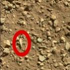 Suposto dedo Humano é encontrado em Marte