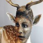 Artista esculpe rostos humanos em animais empalhados
