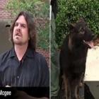 Homem pede para cão policial depor em sua defesa no tribunal 