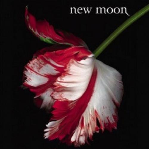 Dica de Leitura: Lua Nova - Stephenie Meyer