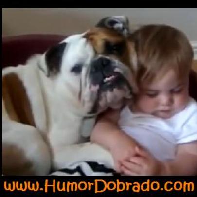 Vídeo divertido - Compilação de bebés e cães em momentos engraçados!