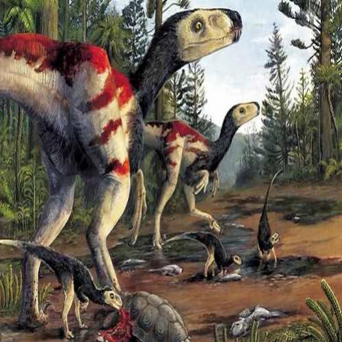 Os dinossauros Australianos são ilustrados pela primeira vez