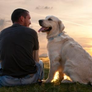 Por que o cão é considerado o melhor amigo do homem?