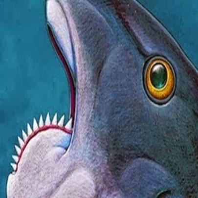 Pré-histórico dos tubarões tinha dentes em forma de serra em espiral