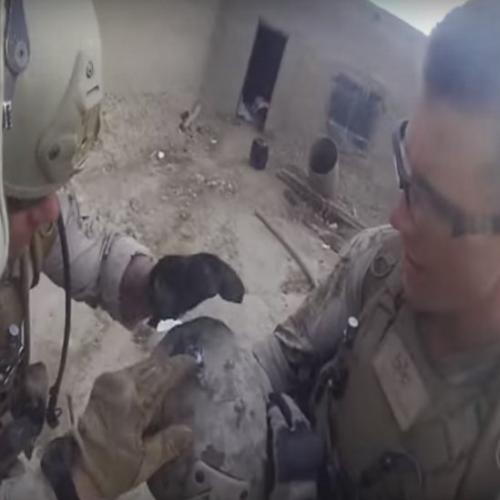 Soldado leva tiro de sniper e sobrevive graças ao capacete