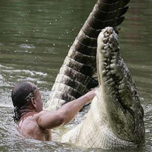 Crocodilo ataca turista que fazia xixi em lago