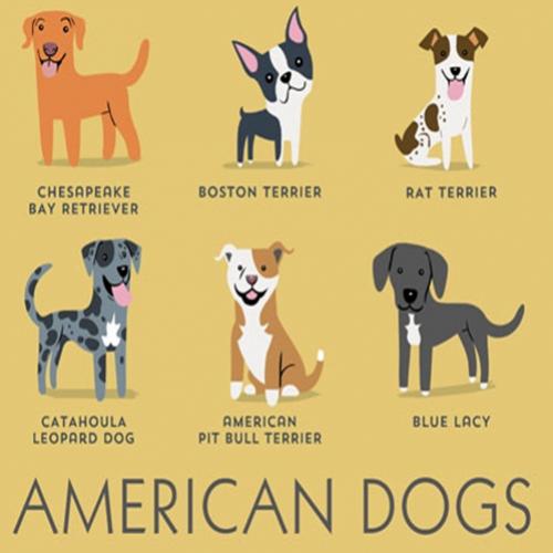 Um divertido guia das raças de cães pelo mundo