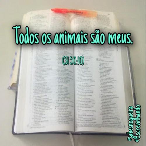 Fauna bíblica - Antigo Testamento