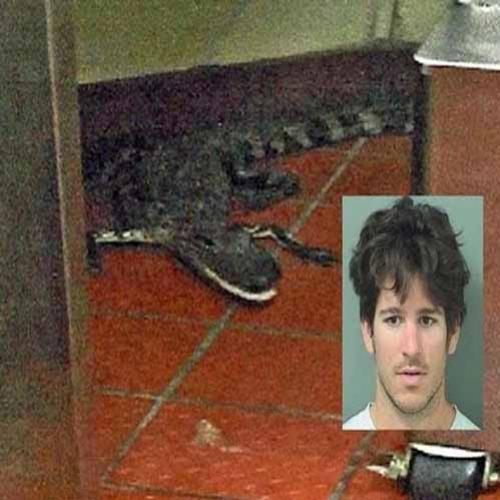 Homem joga crocodilo vivo pela janela do Drive-Thru