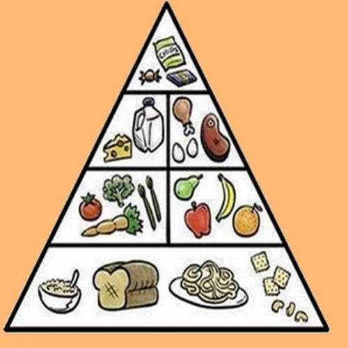 A pirâmide alimentar de um gordo