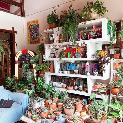 Levando a selva para dentro de casa com plantas na decoração