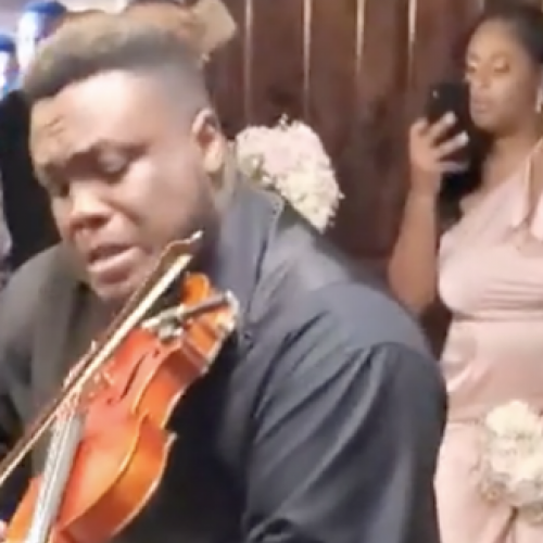 Violinista se anima um pouco demais em casamento