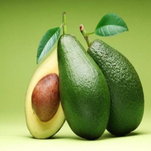 Benefícios da abacate