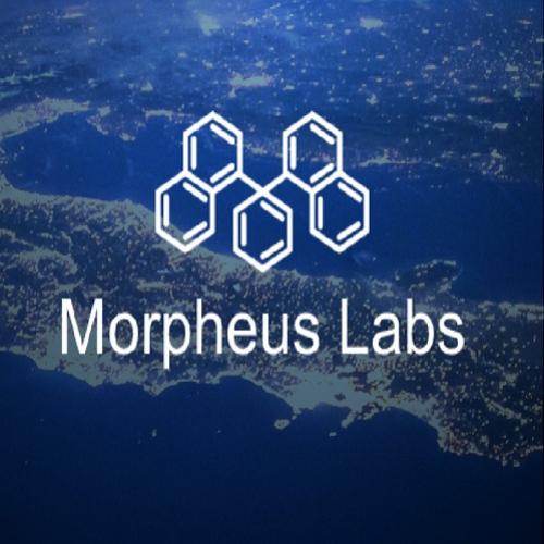 Morpheus labs arrecada 6.200 eth em venda privada e anuncia novas parc
