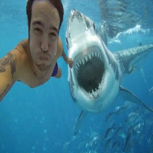 Ataque de tubarão durante selfie causa comoção na web