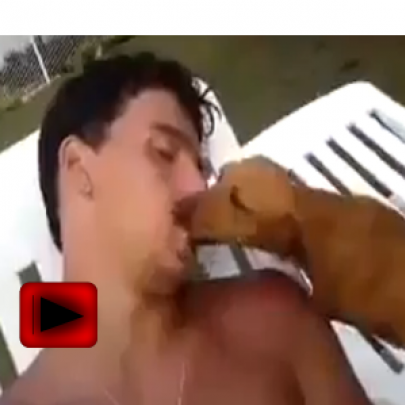 E pode beijo de língua entre cachorro e humano?
