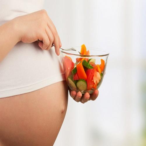 Dieta Restritiva Durante a Gravidez Pode Provocar Obesidade no Bebê