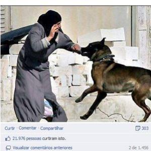 Foto de cachorro atacando mulher palestina gera polêmica no Facebook