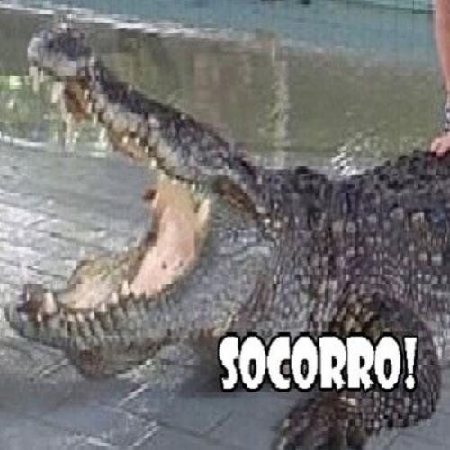 Salvem os Crocodilos
