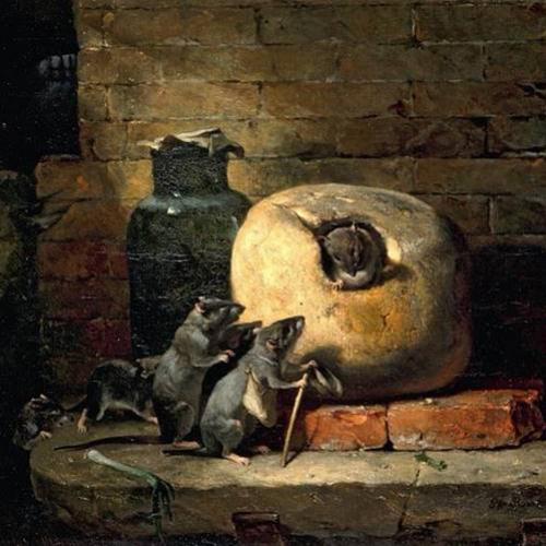 A história do rato que se retirou do mundo