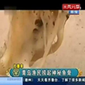 Esqueleto de criatura desconhecida é descoberta na China