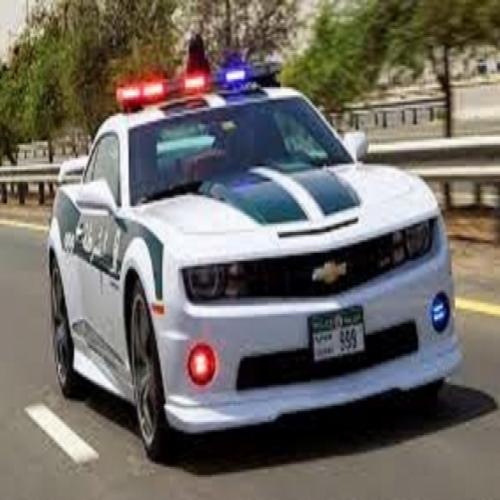 Polícia de Dubai e a sua frota de carros mais rápidos do mundo.