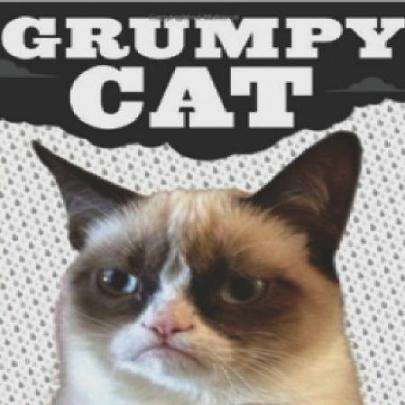 Meme: livro do Grumpy Cat chega ao Brasil
